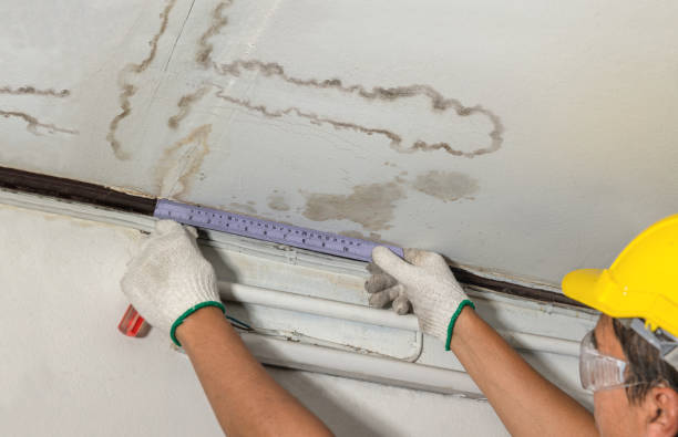 Reliable Mold Remediation contractor in North Smithfield, RI by Water Damage Irwin